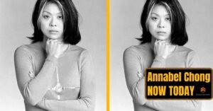 Annabel Chong Now: From Adult Star To Software Engineer